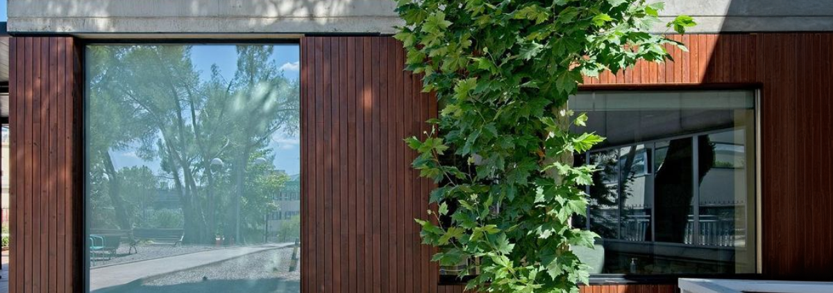 portada madera termotratada